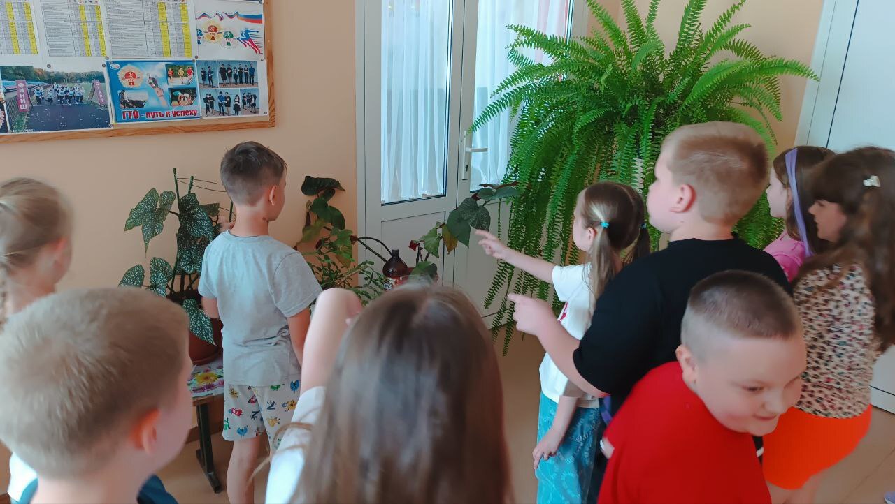 От слаженных действий команды зависит успех и победа в игровом Квесте!.